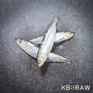 Barf Haring 1000g productfoto