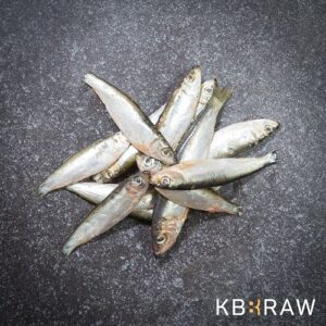 Barf Sprot 1000g productfoto