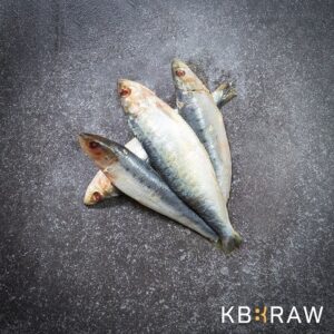 Barf Sardine 1000g productfoto